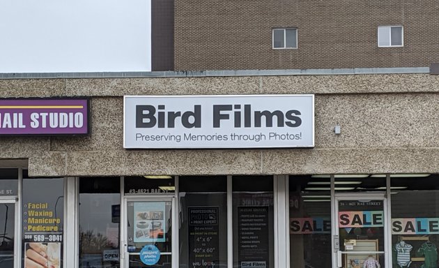 Photo of Bird Films foto source