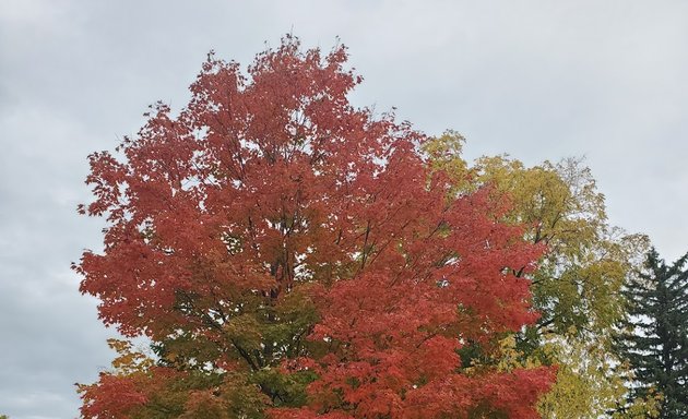 Photo of Rideau Park United Church