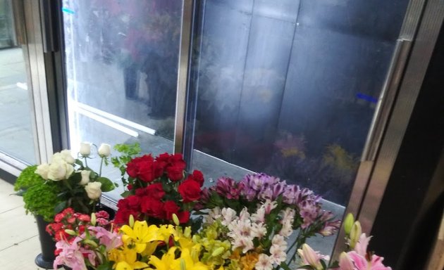 Photo of Downtown Florist