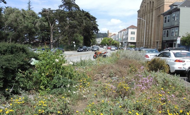 Photo of Frederick & Arguello Native Plant Street Park