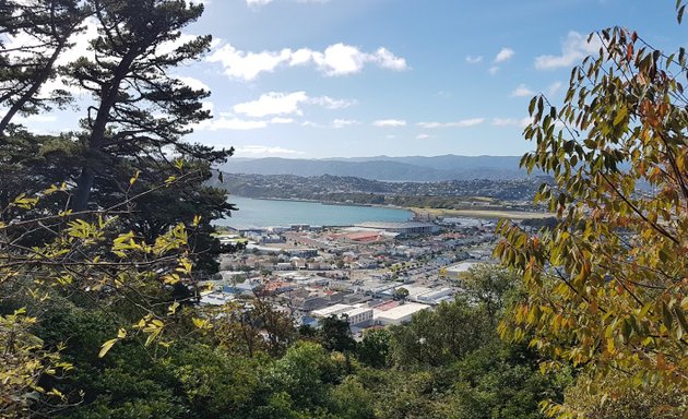 Photo of Newtown Lookout