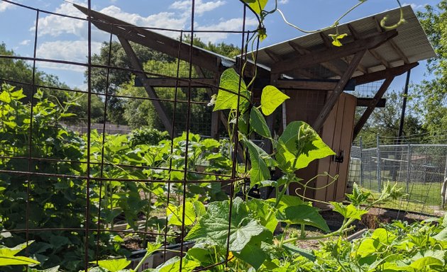 Photo of El Dorado Community Garden