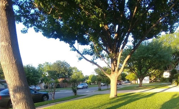 Photo of Texper Tree Service and Landscape