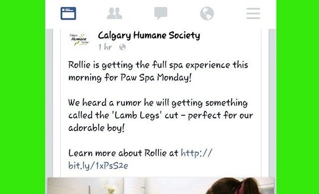 Photo of Calgary Humane Society