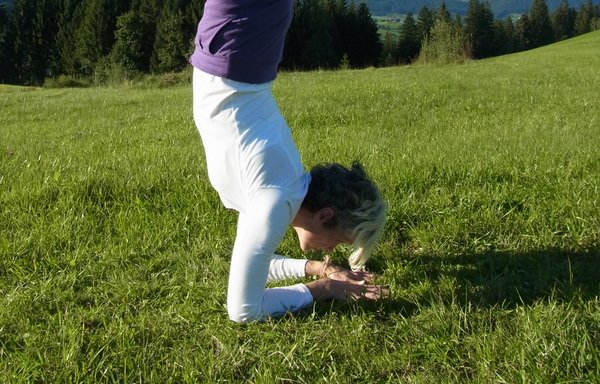 Foto von Yoga mit Brigitte Zehethofer