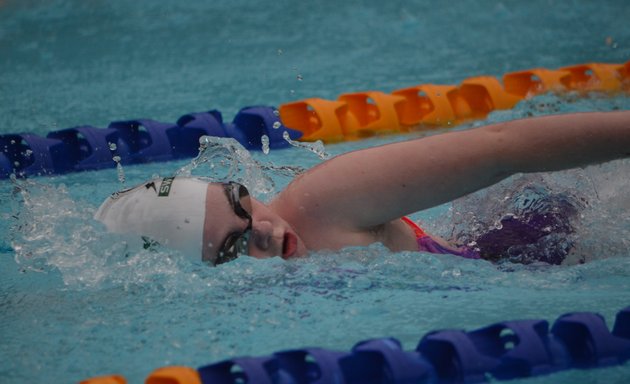 Photo of Electric Eels Swim Club