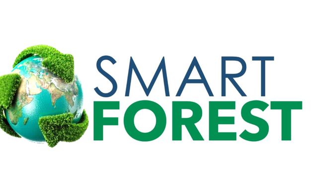 Foto de Global Smart Forest