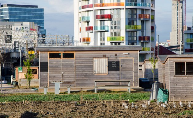 Photo of Pudding Mill Allotments