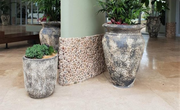 Photo of Pots and Planters
