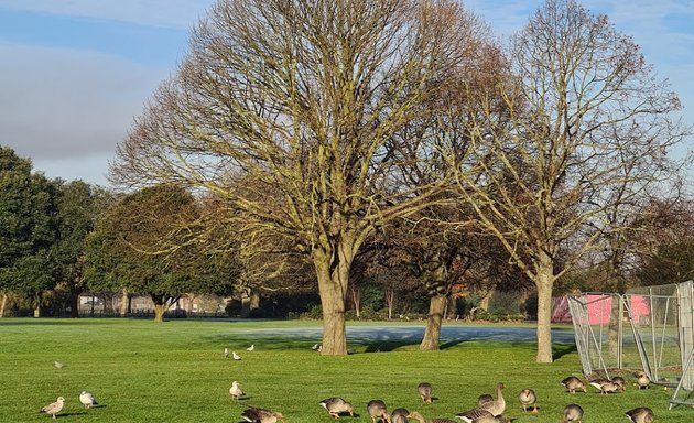 Photo of Parsloes Park Play Area - The Flamboyance of Flamingos