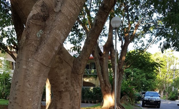 Photo of Woodridge Park, Phase 2 Park