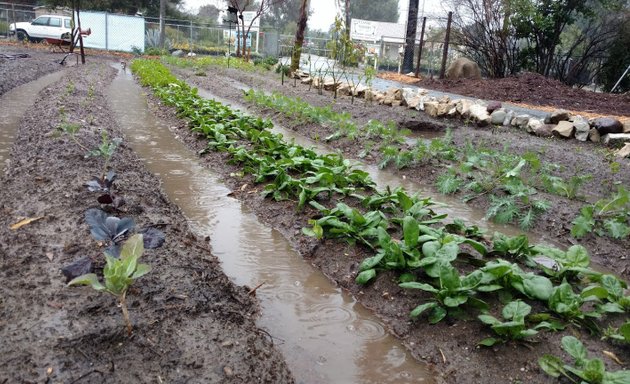 Photo of Creation Family Farms