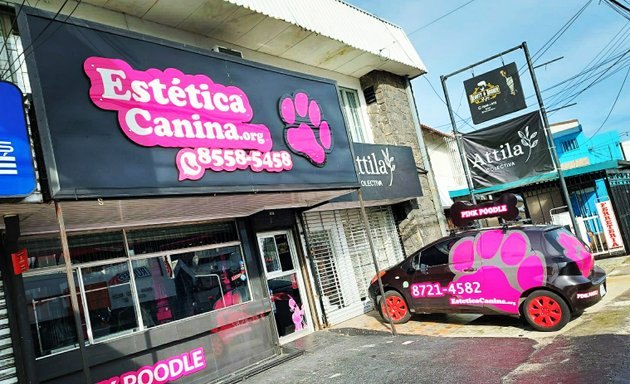 Foto de Estética Canina Pink Poodle