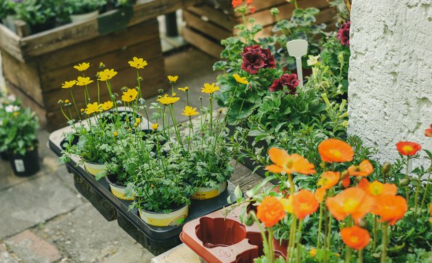 Foto von Fleur Wüst Berlin