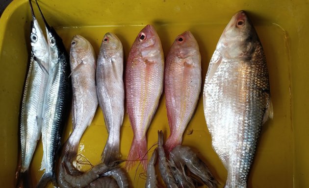 Photo of Rifat Fish Stall