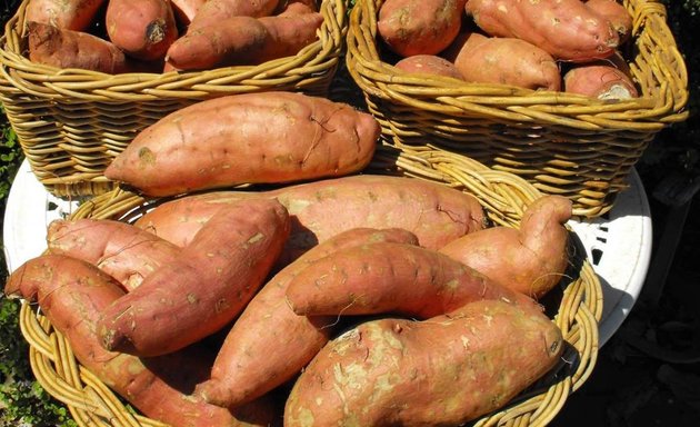 Photo of Adelaide Farmers' Market