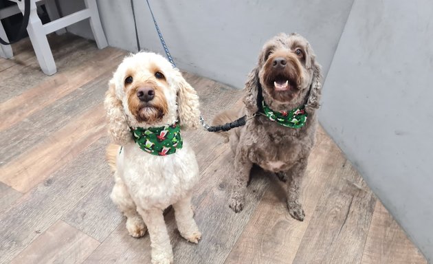 Photo of Doggy Style Grooming Salon