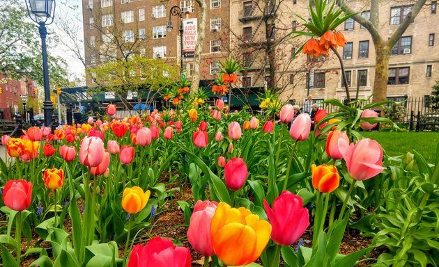 Photo of Abingdon Square