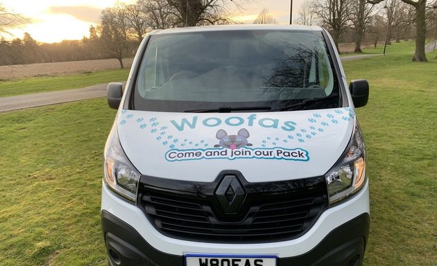 Photo of Woofas. The Professional Dog Walking Service.