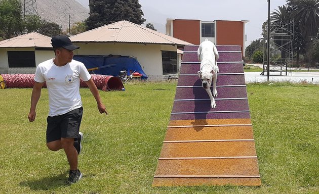 Foto de CENTRO DE ADIESTRAMIENTO CANINO - Escuela Canina ASTY - Sede Chosica