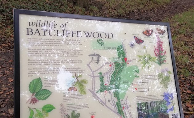 Photo of Batcliffe wood
