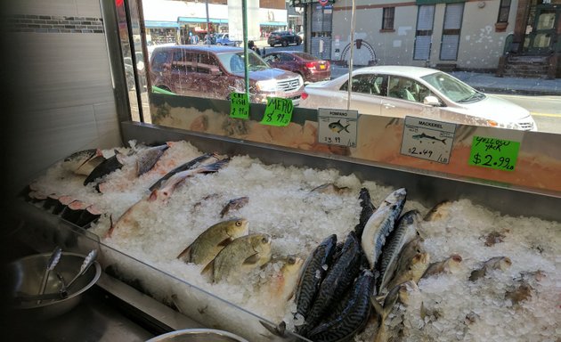 Photo of Fish Market