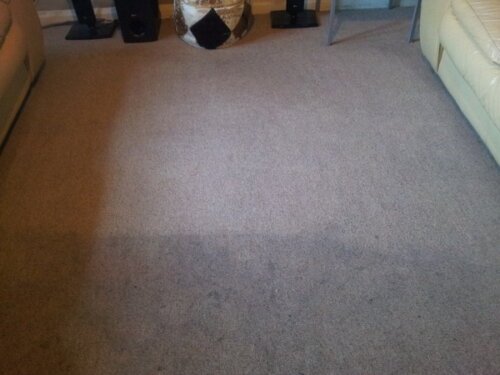 Photo of Cleanmycarpets.co.uk