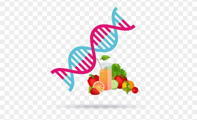 Photo of Diet of DNA