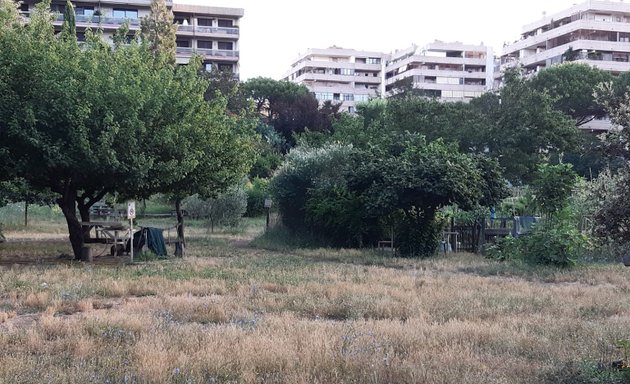 foto Parco Delle Rane