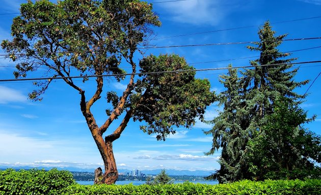 Photo of Madrona Ravine