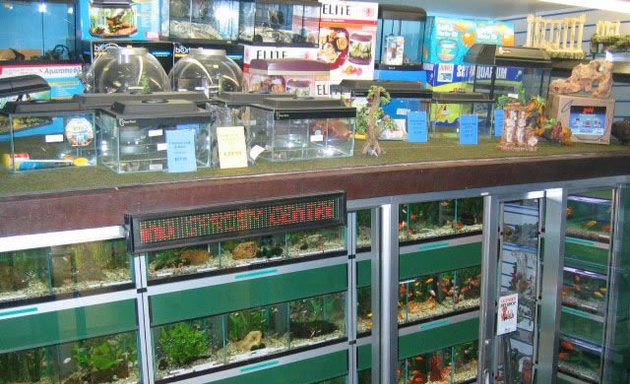 Photo of Dabners Pet Store