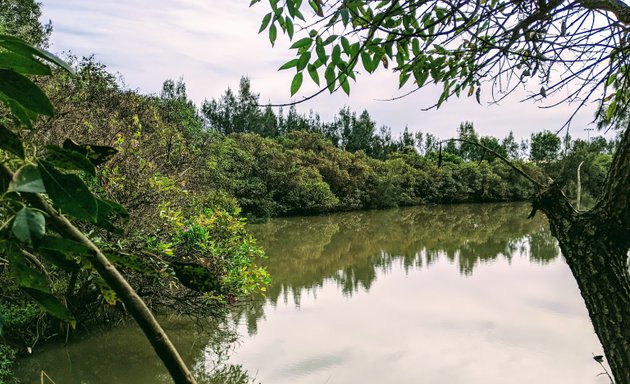 Photo of Pelican Island