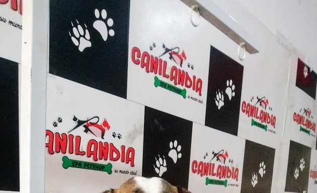 Foto de Canilandia Spa Pet Shop