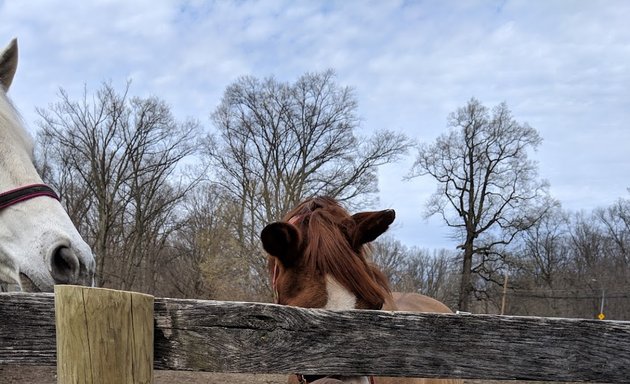 Photo of Gallop NYC at Bronx Equestrian Center