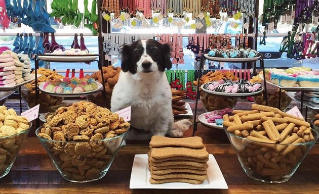 Photo of Woof Gang Bakery & Grooming - Midtown Miami