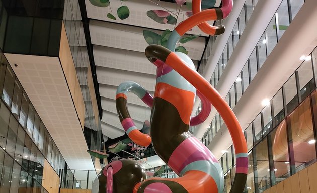 Photo of The Royal Children's Hospital Melbourne