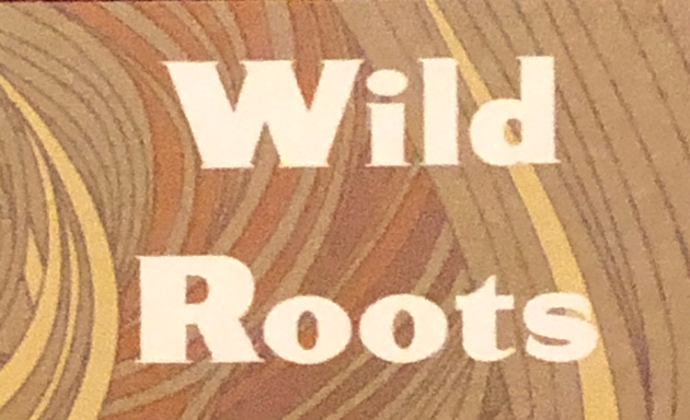 Photo of Wild Roots Hair Studio