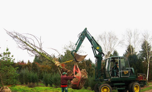 Foto von Baumschulen Ewald Fischer