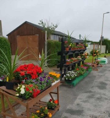 Photo of Whalley’s Garden nursery