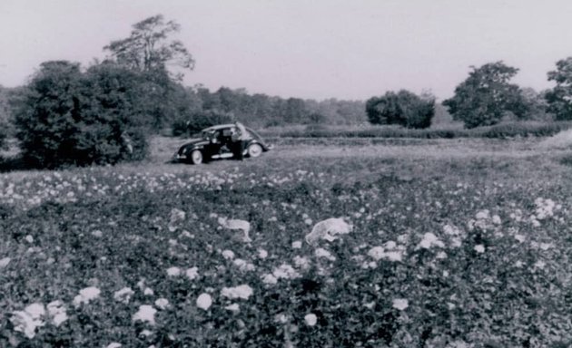 Foto von GartenBaumschule Schneider