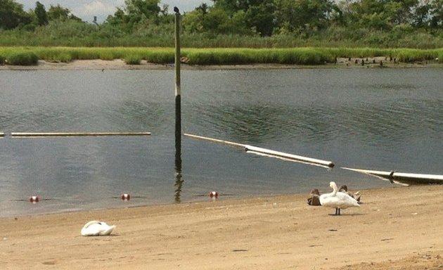 Photo of Kiddie Beach