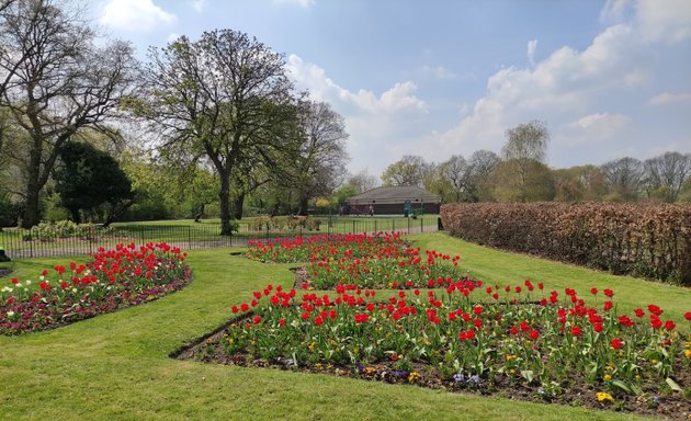 Photo of Forster Memorial Park