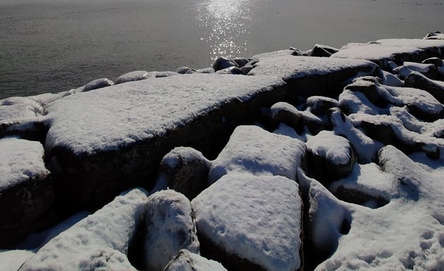 Photo of Rotary Peace Park