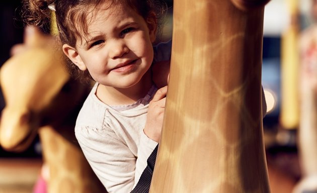 Photo of The Chessington Adventure Tree Carousel