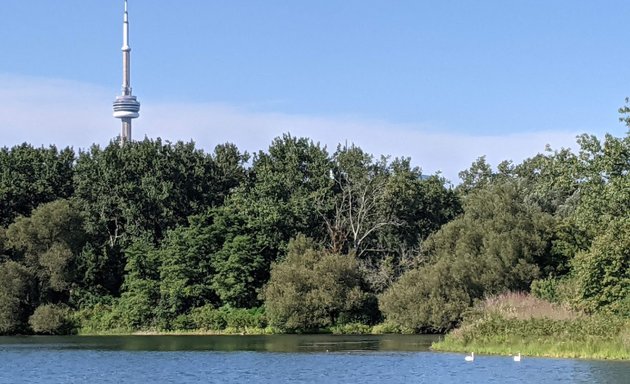 Photo of Toronto Islands - Hanlan's Point Park