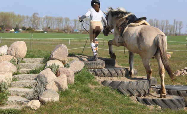 Foto von Kinderponyhof-Falkenberg