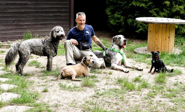 Foto von Tom for Dogs - Hundetraining I Betreuung I Aktivitäten