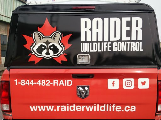 Photo of Raider Wildlife Control