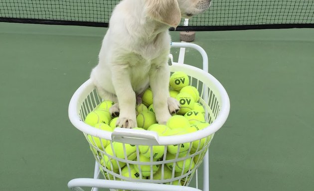 Photo of Nat Weber Tennis Coaching Burnside Tennis Club