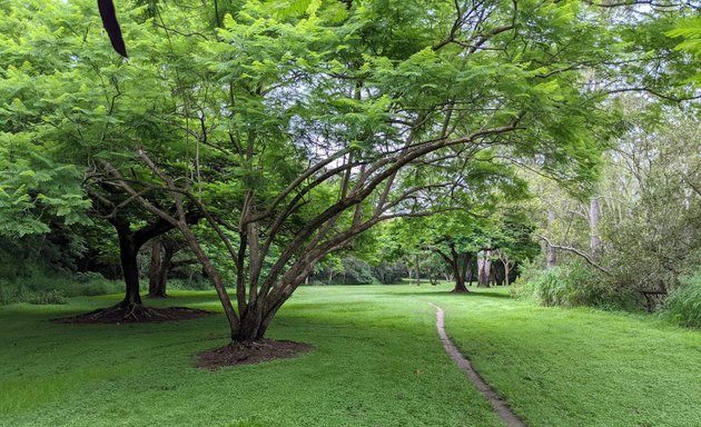 Photo of Picot Street Park